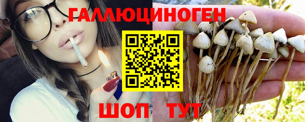 Шелехов  Псилоцибиновые грибы мухоморы  Вход с VPN 